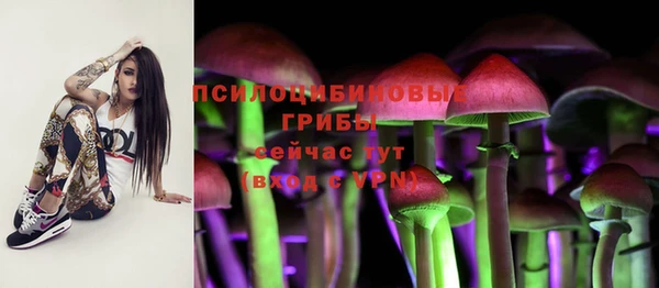 PSILOCYBIN Верхнеуральск